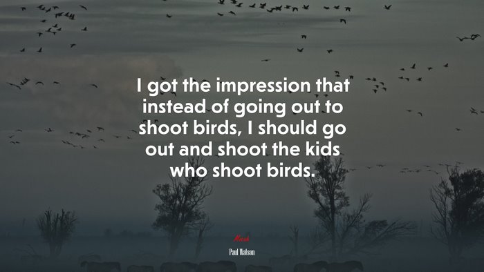I got the impression that instead of going out to shoot birds, I should go out and shoot the kids who shoot birds. | Paul Watson quote