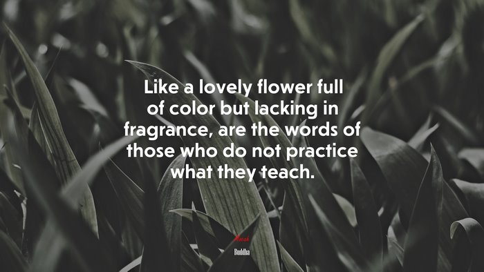 Like a lovely flower full of color but lacking in fragrance, are the words of those who do not practice what they teach. | Buddha quote