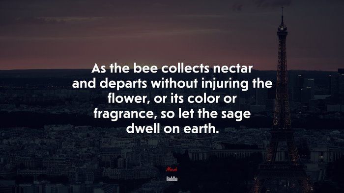 As the bee collects nectar and departs without injuring the flower, or its color or fragrance, so let the sage dwell on earth. | Buddha quote