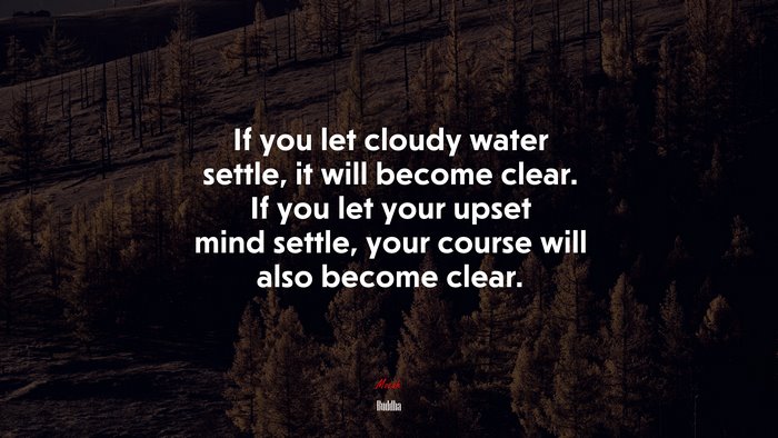 If you let cloudy water settle, it will become clear. If you let your upset mind settle, your course will also become clear. | Buddha quote