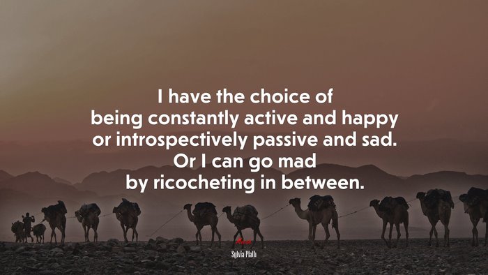 I have the choice of being constantly active and happy or introspectively passive and sad. Or I can go mad by ricocheting in between. | Sylvia Plath quote