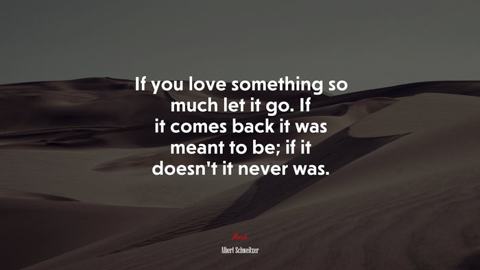 If you love something so much let it go. If it comes back it was meant to be; if it doesn’t it never was. | Albert Schweitzer quote