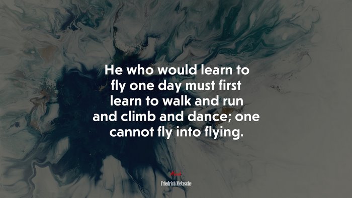 He who would learn to fly one day must first learn to walk and run and climb and dance; one cannot fly into flying. | Friedrich Nietzsche quote