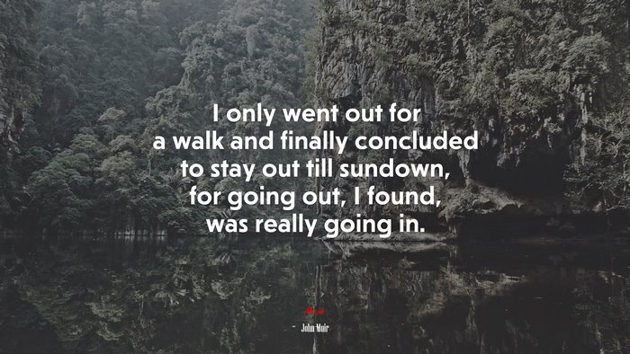 I only went out for a walk and finally concluded to stay out till sundown, for going out, I found, was really going in. | John Muir quote