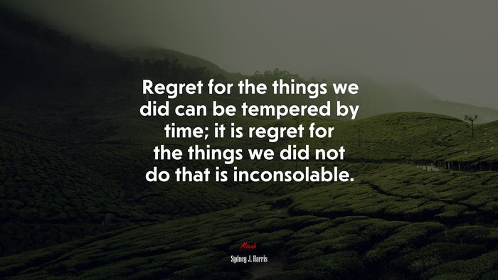Regret for the things we did can be tempered by time; it is regret for the things we did not do that is inconsolable. | Sydney J. Harris quote