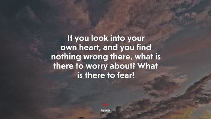 If you look into your own heart, and you find nothing wrong there, what is there to worry about? What is there to fear? | Confucius quote