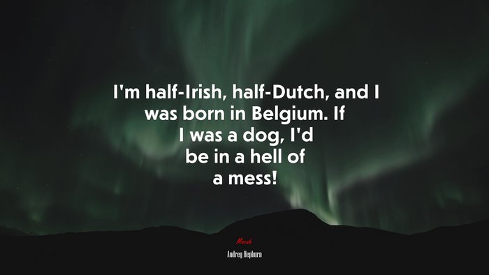I’m half-Irish, half-Dutch, and I was born in Belgium. If I was a dog, I’d be in a hell of a mess! | Audrey Hepburn quote