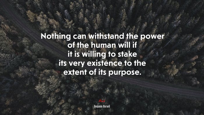 Nothing can withstand the power of the human will if it is willing to stake its very existence to the extent of its purpose. | Benjamin Disraeli quote