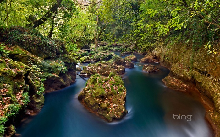River flowing through a mossy forest with rocks