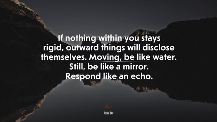 If nothing within you stays rigid, outward things will disclose themselves. Moving, be like water. Still, be like a mirror. Respond like an echo. | Bruce Lee quote
