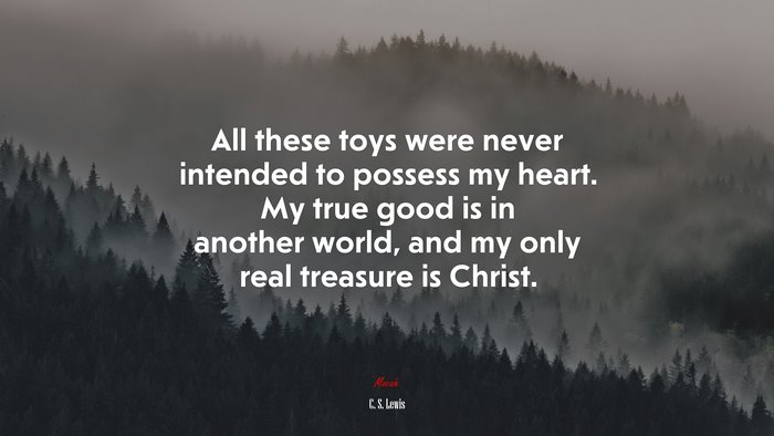 All these toys were never intended to possess my heart. My true good is in another world, and my only real treasure is Christ. | C. S. Lewis quote