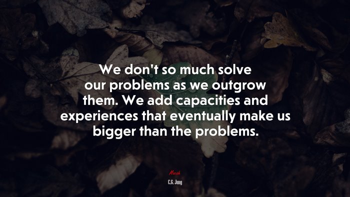 We don’t so much solve our problems as we outgrow them. We add capacities and experiences that eventually make us bigger than the problems. | C.G. Jung quote