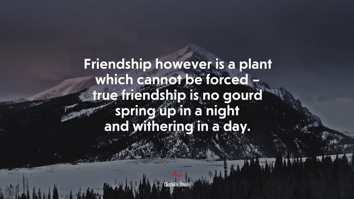 Friendship however is a plant which cannot be forced – true friendship is no gourd spring up in a night and withering in a day. | Charlotte Brontë quote
