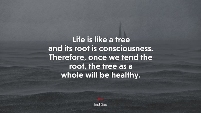 Life is like a tree and its root is consciousness. Therefore, once we tend the root, the tree as a whole will be healthy. | Deepak Chopra quote
