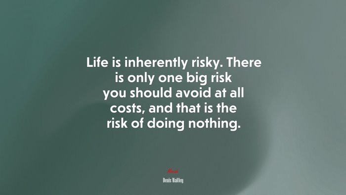 Life is inherently risky. There is only one big risk you should avoid at all costs, and that is the risk of doing nothing. | Denis Waitley quote