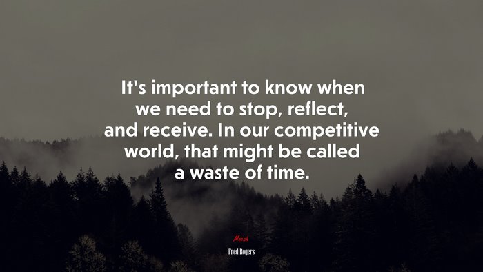It’s important to know when we need to stop, reflect, and receive. In our competitive world, that might be called a waste of time. | Fred Rogers quote