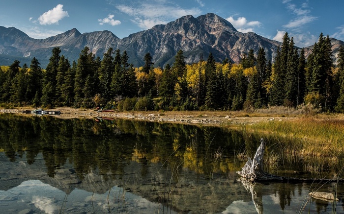 Mountain lake with reflections and trees