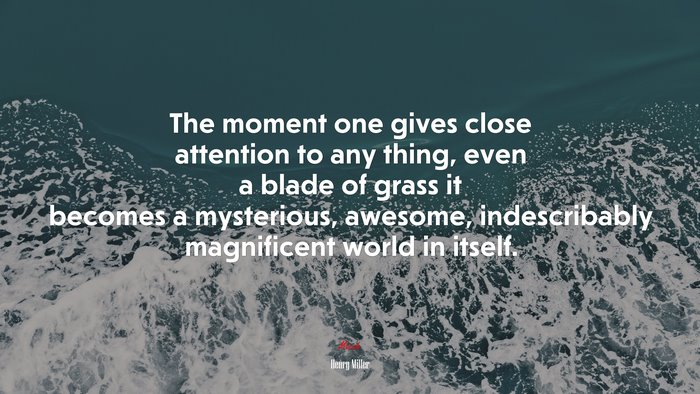The moment one gives close attention to any thing, even a blade of grass it becomes a mysterious, awesome, indescribably magnificent world in itself. | Henry Miller quote