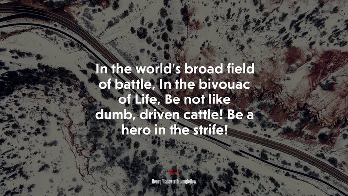 In the world’s broad field of battle, In the bivouac of Life, Be not like dumb, driven cattle! Be a hero in the strife! | Henry Wadsworth Longfellow quote
