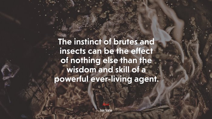 The instinct of brutes and insects can be the effect of nothing else than the wisdom and skill of a powerful ever-living agent. | Isaac Newton quote