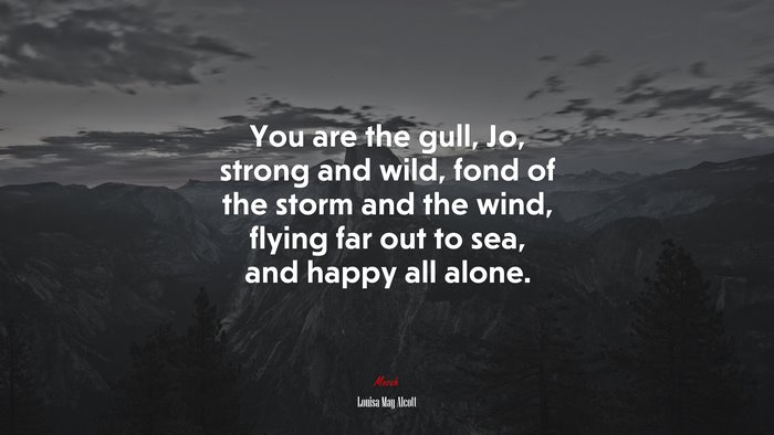 You are the gull, Jo, strong and wild, fond of the storm and the wind, flying far out to sea, and happy all alone. | Louisa May Alcott quote