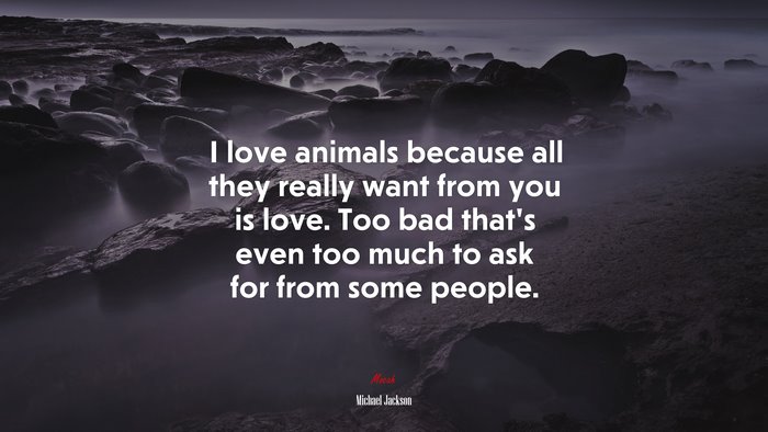 I love animals because all they really want from you is love. Too bad that’s even too much to ask for from some people. | Michael Jackson quote