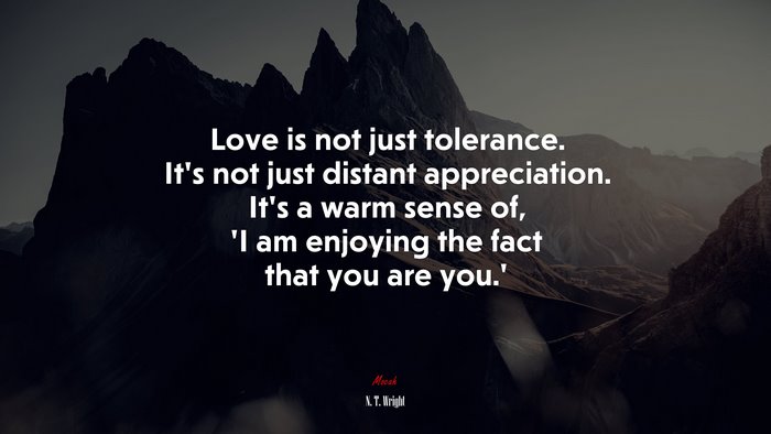 Love is not just tolerance. It’s not just distant appreciation. It’s a warm sense of, ‘I am enjoying the fact that you are you.’ | N. T. Wright quote