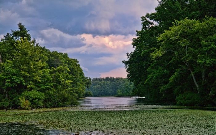 A tranquil lake surrounded by dense green trees under a cloudy sky.