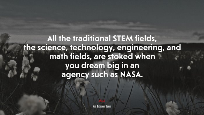 All the traditional STEM fields, the science, technology, engineering, and math fields, are stoked when you dream big in an agency such as NASA. | Neil deGrasse Tyson quote
