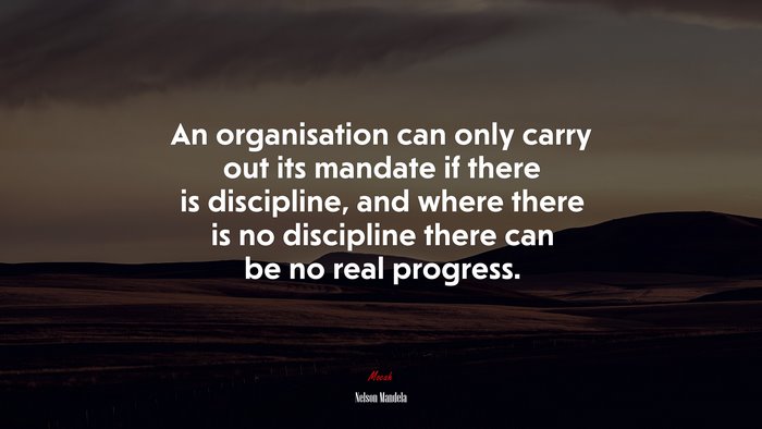 An organisation can only carry out its mandate if there is discipline, and where there is no discipline there can be no real progress. | Nelson Mandela quote