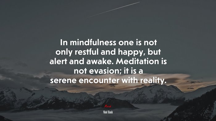 In mindfulness one is not only restful and happy, but alert and awake. Meditation is not evasion; it is a serene encounter with reality. | Nhat Hanh quote