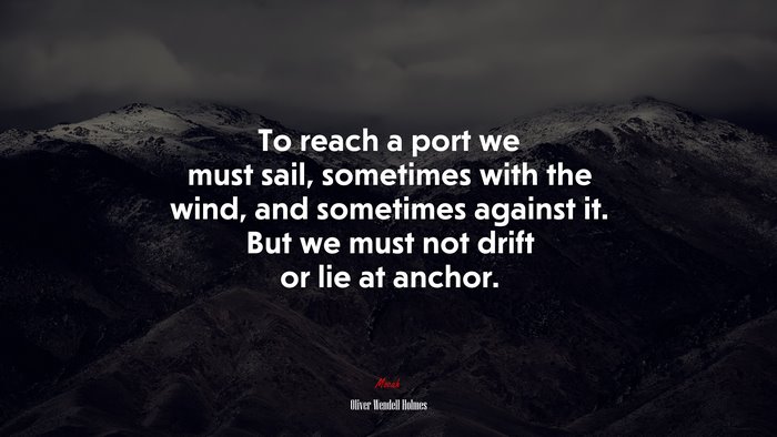 To reach a port we must sail, sometimes with the wind, and sometimes against it. But we must not drift or lie at anchor. | Oliver Wendell Holmes quote