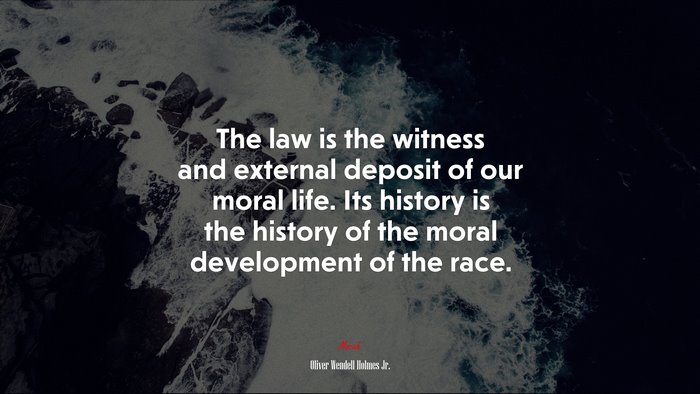 The law is the witness and external deposit of our moral life. Its history is the history of the moral development of the race. | Oliver Wendell Holmes Jr. quote