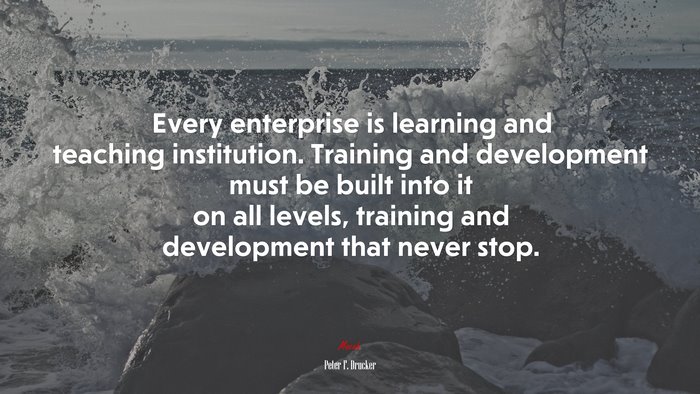 Every enterprise is learning and teaching institution. Training and development must be built into it on all levels, training and development that never stop. | Peter F. Drucker quote