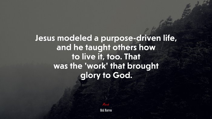 Jesus modeled a purpose-driven life, and he taught others how to live it, too. That was the ‘work’ that brought glory to God. | Rick Warren quote