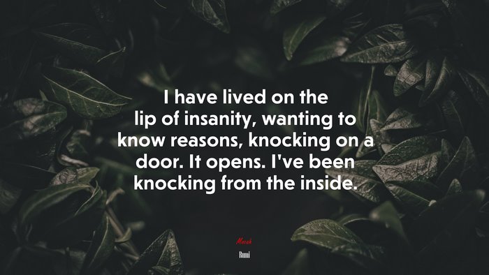 I have lived on the lip of insanity, wanting to know reasons, knocking on a door. It opens. I’ve been knocking from the inside. | Rumi quote