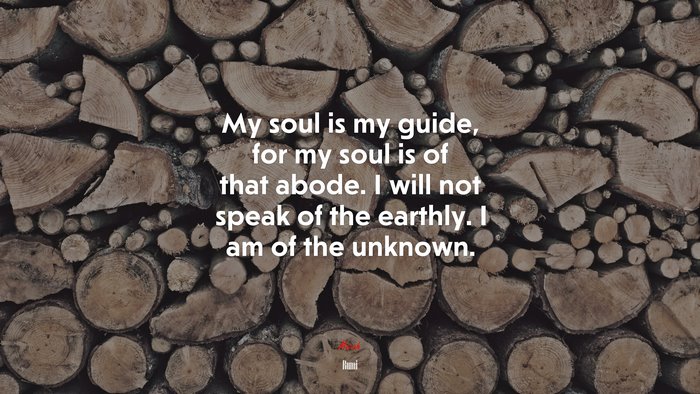 My soul is my guide, for my soul is of that abode. I will not speak of the earthly. I am of the unknown. | Rumi quote