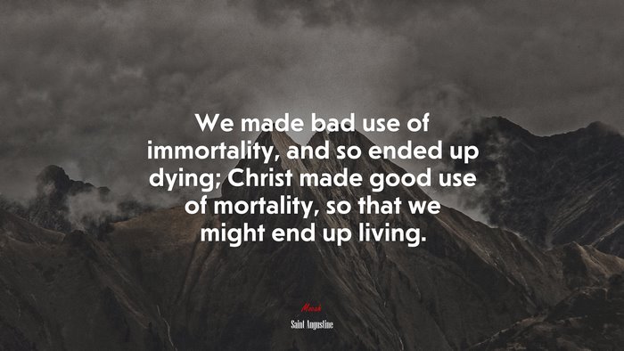 We made bad use of immortality, and so ended up dying; Christ made good use of mortality, so that we might end up living. | Saint Augustine quote