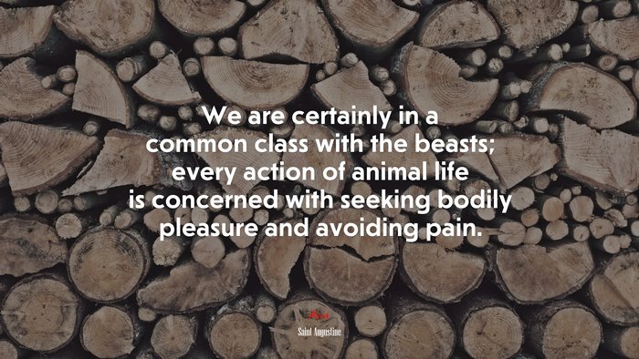 We are certainly in a common class with the beasts; every action of animal life is concerned with seeking bodily pleasure and avoiding pain. | Saint Augustine quote
