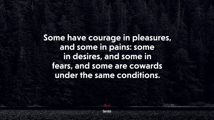 Some have courage in pleasures, and some in pains: some in desires, and some in fears, and some are cowards under the same conditions. | Socrates quote