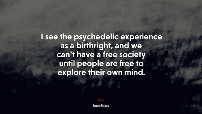 I see the psychedelic experience as a birthright, and we can’t have a free society until people are free to explore their own mind. | Terence McKenna quote