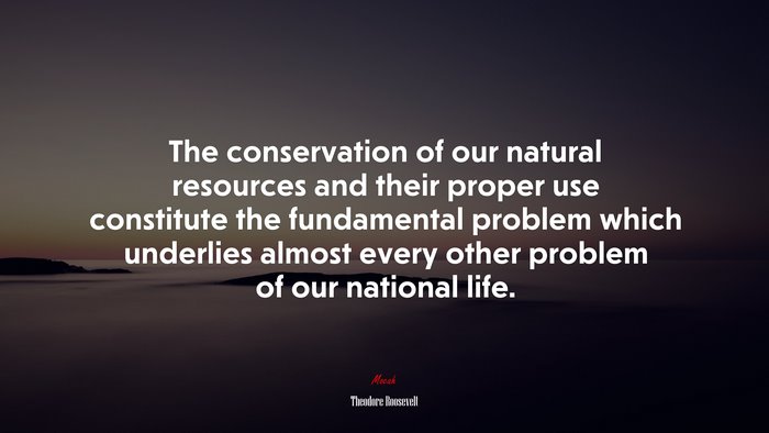 The conservation of our natural resources and their proper use constitute the fundamental problem which underlies almost every other problem of our national life. | Theodore Roosevelt quote