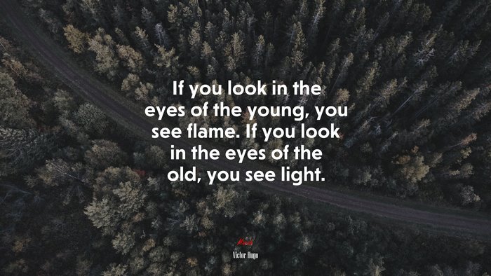 If you look in the eyes of the young, you see flame. If you look in the eyes of the old, you see light. | Victor Hugo quote