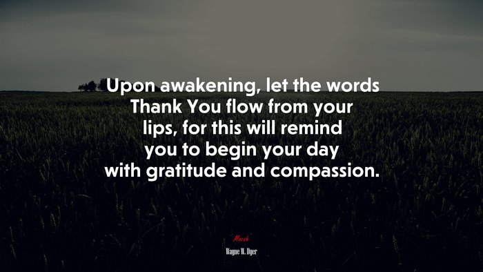 Upon awakening, let the words Thank You flow from your lips, for this will remind you to begin your day with gratitude and compassion. | Wayne W. Dyer quote