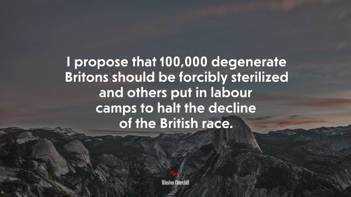 I propose that 100,000 degenerate Britons should be forcibly sterilized and others put in labour camps to halt the decline of the British race. | Winston Churchill quote