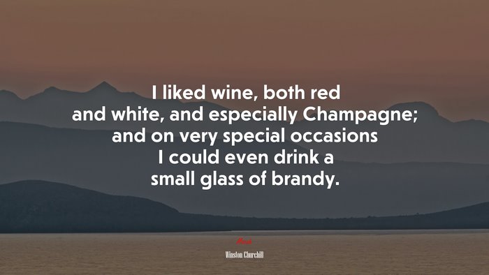 I liked wine, both red and white, and especially Champagne; and on very special occasions I could even drink a small glass of brandy. | Winston Churchill quote