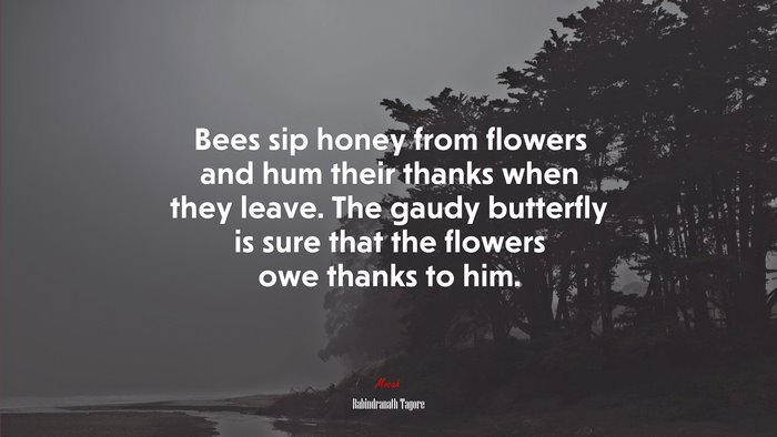 Bees sip honey from flowers and hum their thanks when they leave. The gaudy butterfly is sure that the flowers owe thanks to him. | Rabindranath Tagore quote