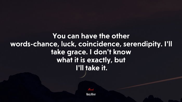 You can have the other words-chance, luck, coincidence, serendipity. I’ll take grace. I don’t know what it is exactly, but I’ll take it. | Mary Oliver quote
