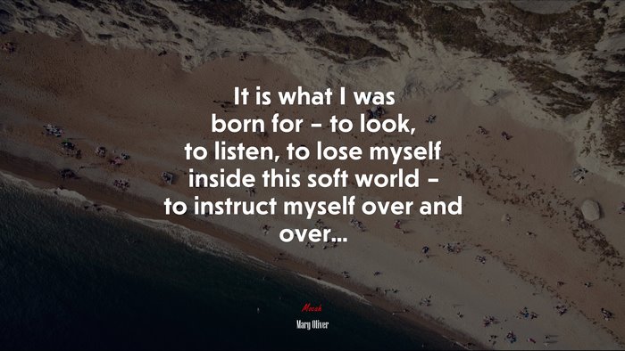 It is what I was born for – to look, to listen, to lose myself inside this soft world – to instruct myself over and over... | Mary Oliver quote