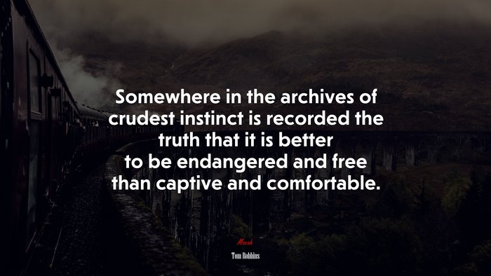 Somewhere in the archives of crudest instinct is recorded the truth that it is better to be endangered and free than captive and comfortable. | Tom Robbins quote